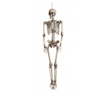 Decoratie Skelet (160 cm)